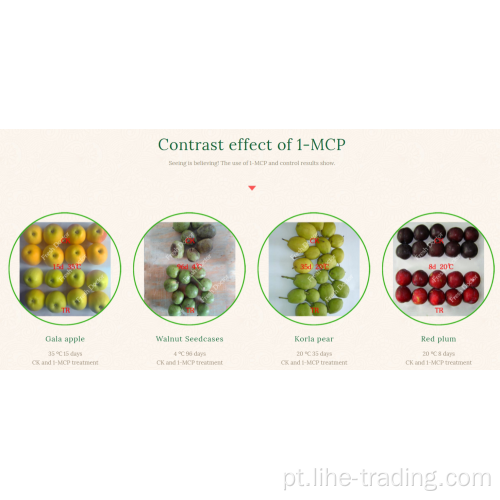 1-MCP Health Fruit Fresher